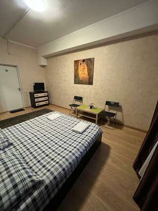 Гостиница Mini-Hotel Silver Балашиха Номер стандарт с 1 двуспальной кроватью-3