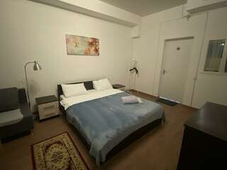 Гостиница Mini-Hotel Silver Балашиха Номер комфорт с 1 двуспальной кроватью и диваном-5