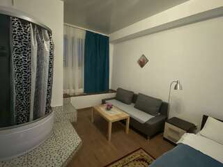 Гостиница Mini-Hotel Silver Балашиха Номер комфорт с 1 двуспальной кроватью и диваном-3